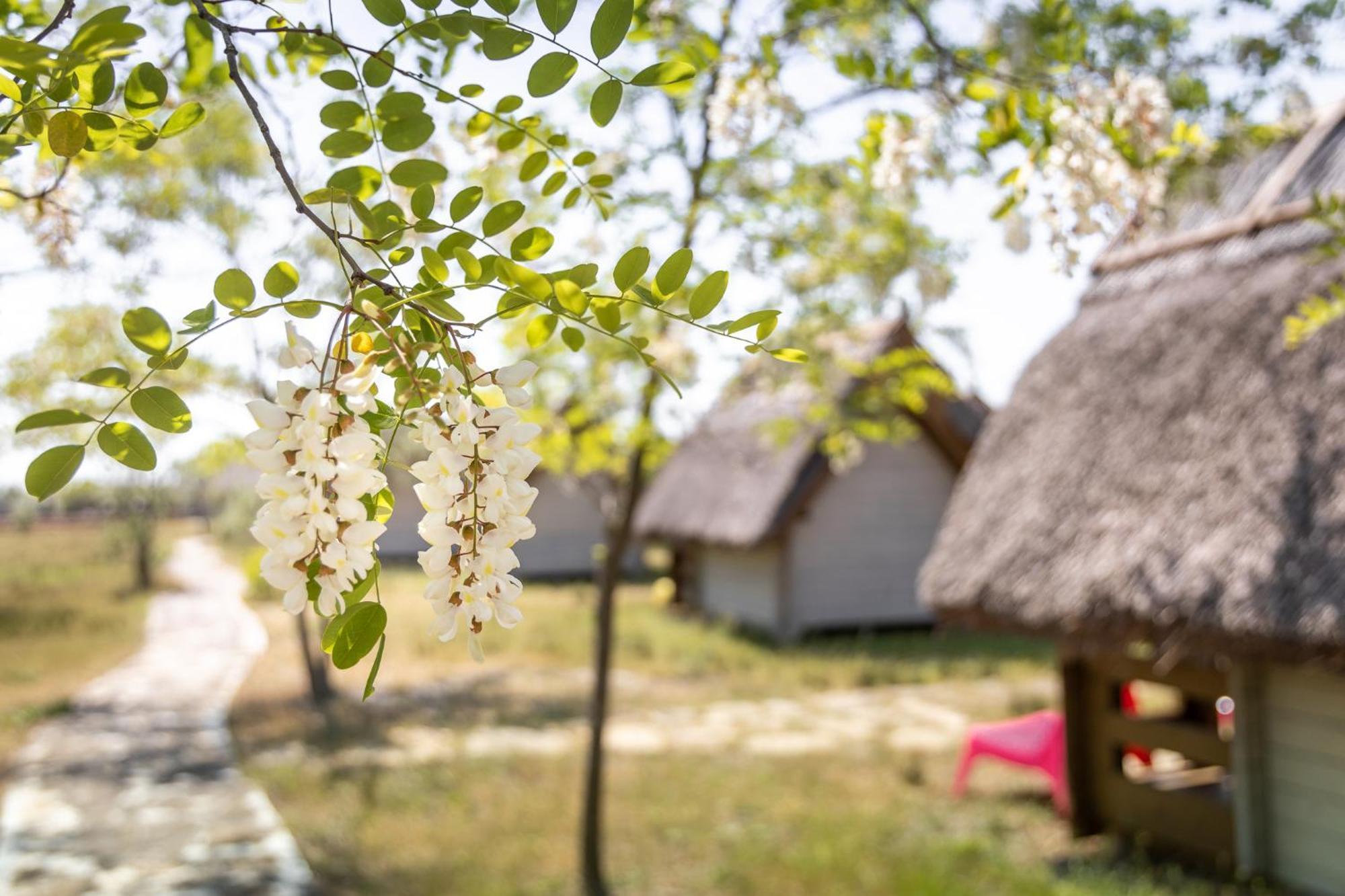 Dolphin Camping Сфинту Джордже Екстериор снимка