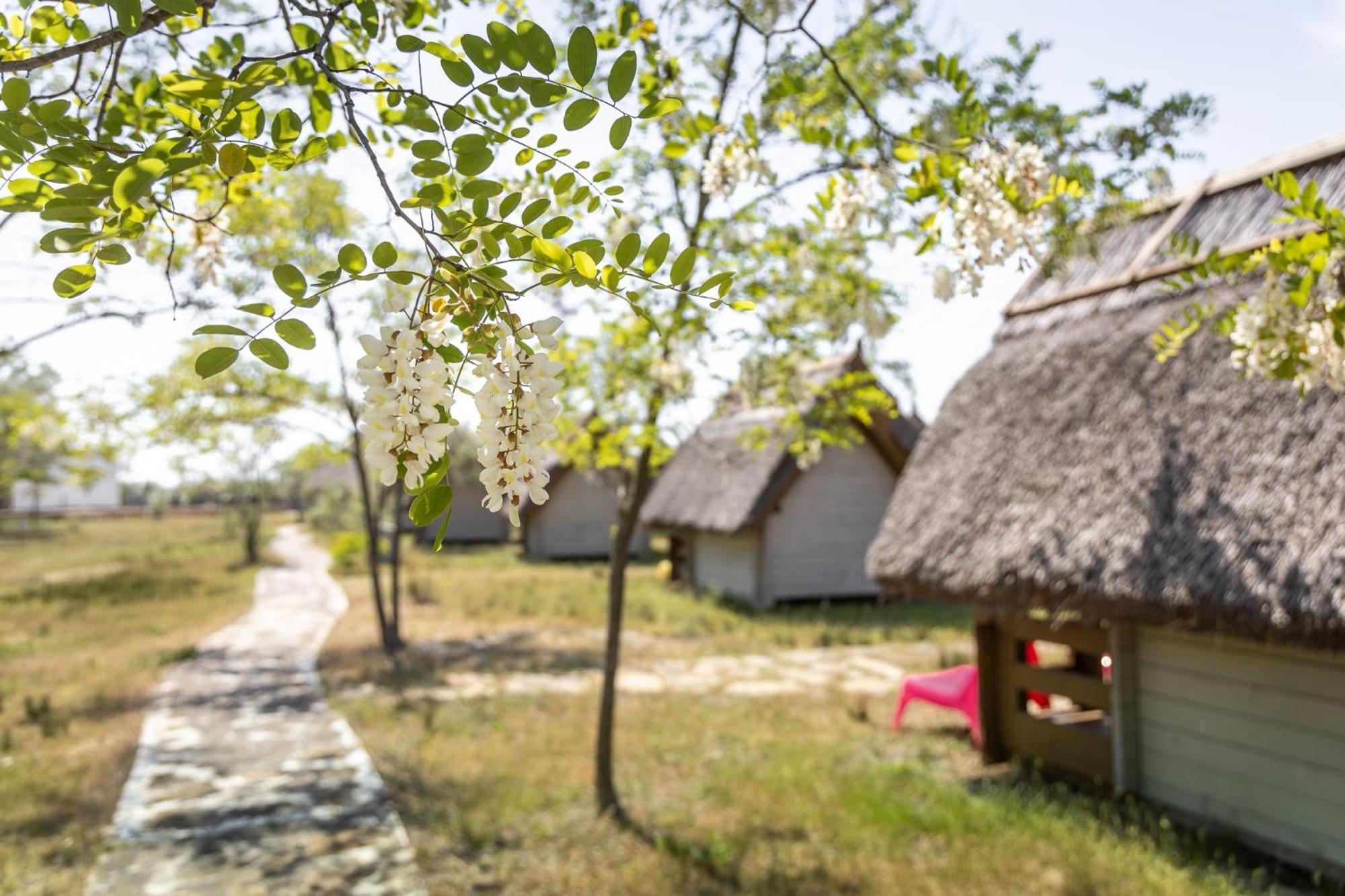 Dolphin Camping Сфинту Джордже Екстериор снимка