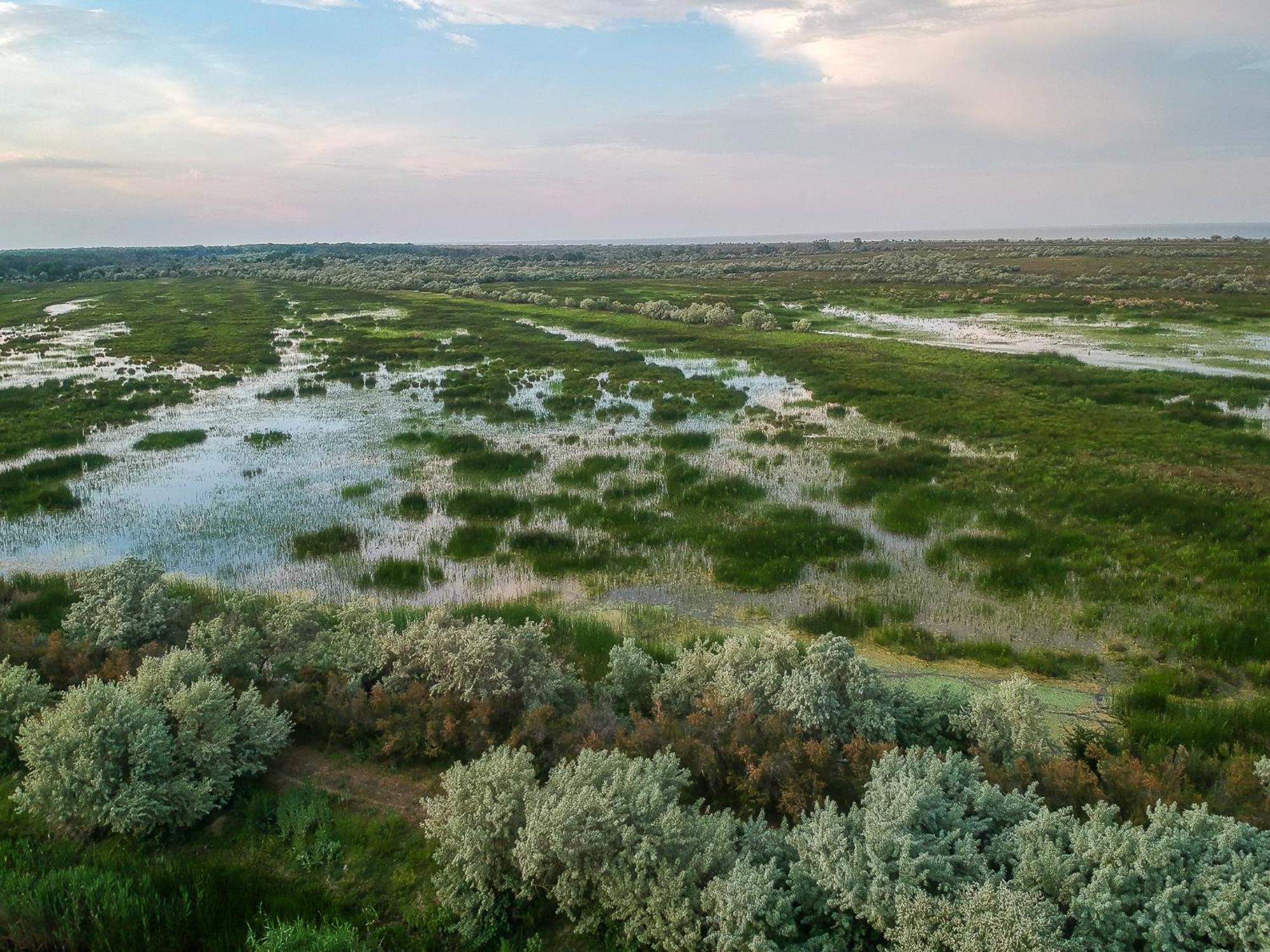 Dolphin Camping Сфинту Джордже Екстериор снимка